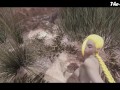 Cammy POV Tease - TK17
