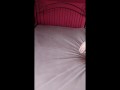 Anna Perv likes anal plug