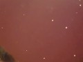 POV My Naughty Shower Time! Enjoy being wet, playing and teasing myself!