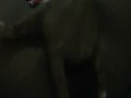 Fingering my pussy