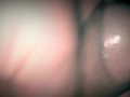 Una rica paja, masturbacion verga caliente, rica  eyaculacion lechita Calientita. Español amateur!! 