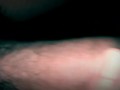 Una rica paja, masturbacion verga caliente, rica  eyaculacion lechita Calientita. Español amateur!! 