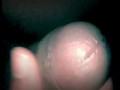 Una rica paja, masturbacion verga caliente, rica  eyaculacion lechita Calientita. Español amateur!! 