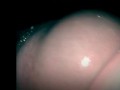 Una rica paja, masturbacion verga caliente, rica  eyaculacion lechita Calientita. Español amateur!! 