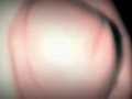 Una rica paja, masturbacion verga caliente, rica  eyaculacion lechita Calientita. Español amateur!! 