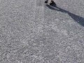 Hot couple having sex on a public beach