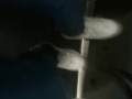 Take off Stinky sneaker in Bus