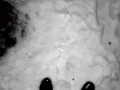 Босиком по снегу