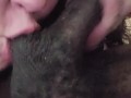 Sucking hard cock dirty milf slut has an mouth full