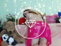 Redhead Russian Webcam model with big ass Dancing Sensual Striptease