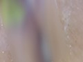 Cheirosinha ... rasurando a ppkinha e fazendo squirt 💦💦 