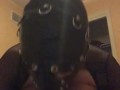 Submissive leather mask wearing slave drooling gagging all over a bbc 