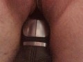 Pussy Drives Stick