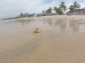 LISA NA PRAIA