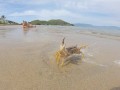 LISA NA PRAIA