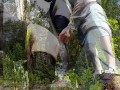 Her leggings lead to a blowjob in the woods after a run, i cum on her stuck butt