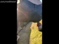 Wetting pants compilation