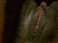 Heavy PETTING!!!! (Dirty talk) 