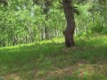 Pantyhose Step Sister Leads to Huge Cum Loads