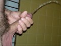 Guys can pee while hard!