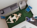 A friend makes Cooney to my furry wife | Is this considered treason? [3d hentai uncensored]