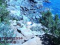 RISKY CUMSHOT in front of shy TEEN! Public beach DICKFLASH, REAL STRANGER, exhibitionist gets caught