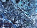 RISKY CUMSHOT in front of shy TEEN! Public beach DICKFLASH, REAL STRANGER, exhibitionist gets caught