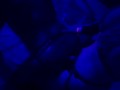 I have a blind date with a stranger and she ends up fucking me