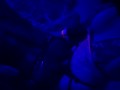 I have a blind date with a stranger and she ends up fucking me