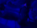 I have a blind date with a stranger and she ends up fucking me