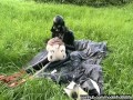 Rubber girl full in black latex catsuit and mask plays with herself outdoor in a meadow - Part 1