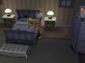 Scopata da dietro (TS4)