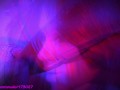 Stuck In Her Lucid Dream - The Legjob Journey Of Sarah