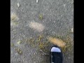 Frilly socks and wedge sandals OUTSIDE