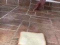 Pissing on a piece of bread