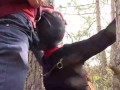 Tied to a tree on a sexy outfit, masked and outdoor deepthroat with no mercy