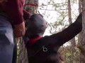 Tied to a tree on a sexy outfit, masked and outdoor deepthroat with no mercy