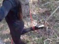 Tied to a tree on a sexy outfit, masked and outdoor deepthroat with no mercy