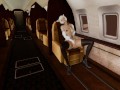 Trap the Cat FURRY masturbates on the plane [3d hentai uncensored]