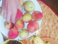 Kinky Girl Puts Fruits In Her Panties And Inserting Them Into Pussy - Angel Fowler