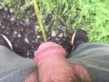 Peeing Outdoors Near Highway