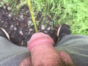 Peeing Outdoors Near Highway
