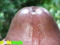 After Precum Seeps from my Hard Cock Hole a Huge Load of Cum Rushes out on Rapid Fire (Close Up)