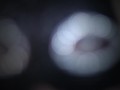 You Are A Porn Addict Femdom Humiliation Trance