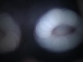 You Are A Porn Addict Femdom Humiliation