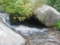 Shameless stops on the road by a stream to pee and change her menstrual cup - almost caught by