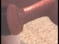 Fleshlight- 2 Rounds Back to Back