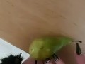 Weird nail fetish and pear ... Ellie Louise 