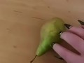 Weird nail fetish and pear ... Ellie Louise 
