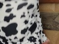 Chubby Cow's Slutty Strip Tease and Shows Holes